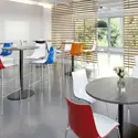 Gecko Shell Dining Stacking Stool with Chrome Legs